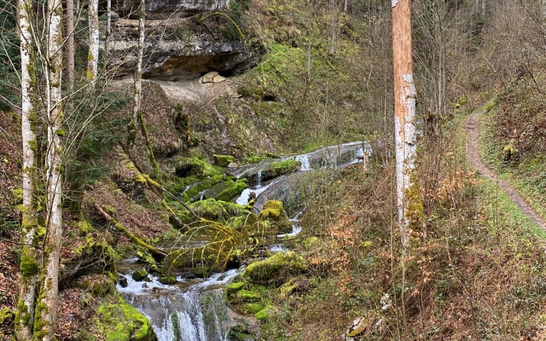 De Croy-Romainmôtier à Vaulion le long du Nozon