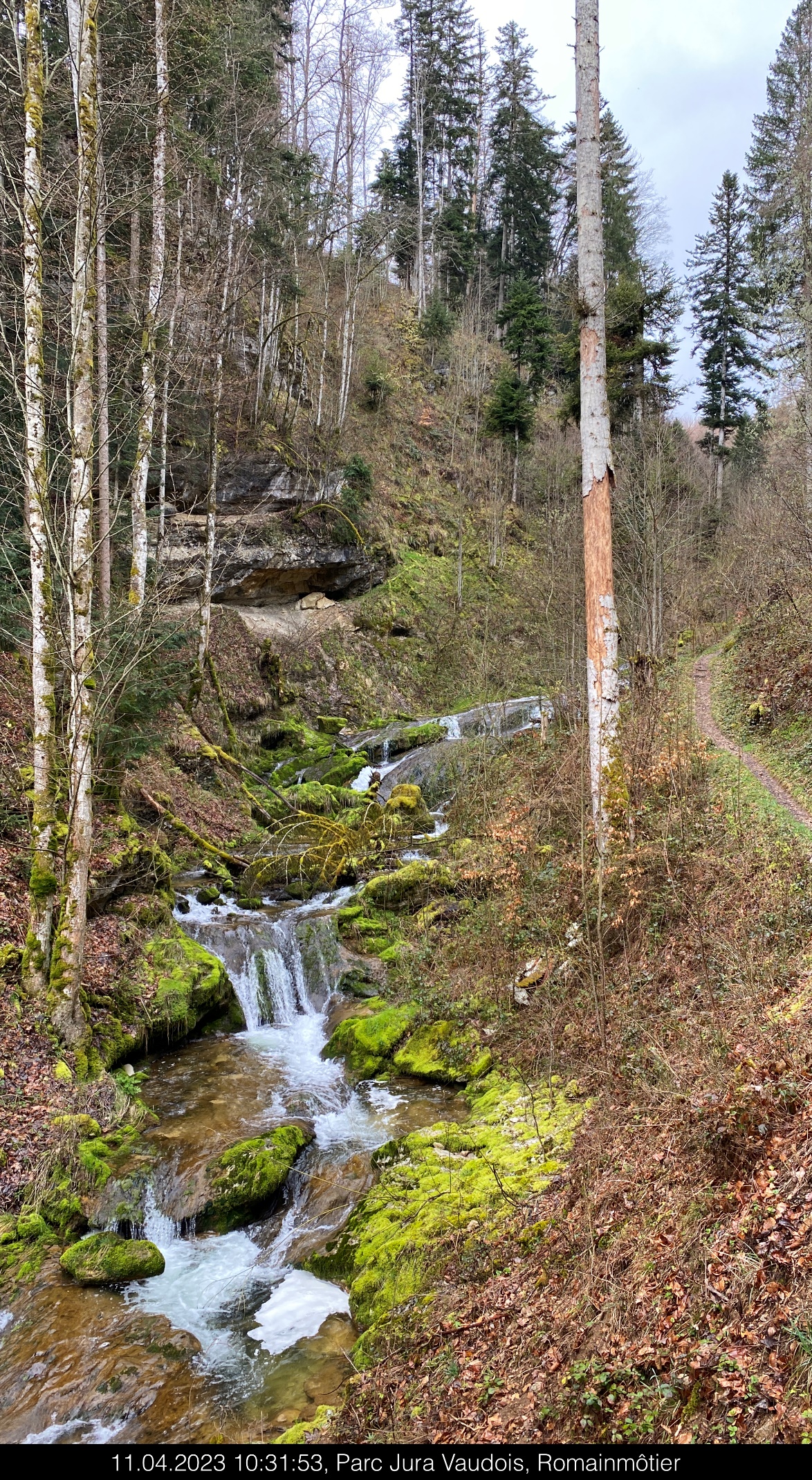 Une image contenant plein air, paysage, Paysage naturel, forêt

Description générée automatiquement