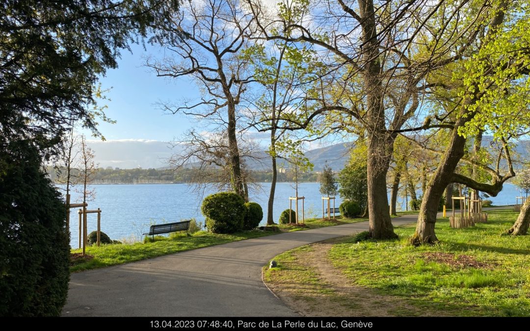 Promenades printanières dans les grands parcs riverains du lac Léman, à Genève