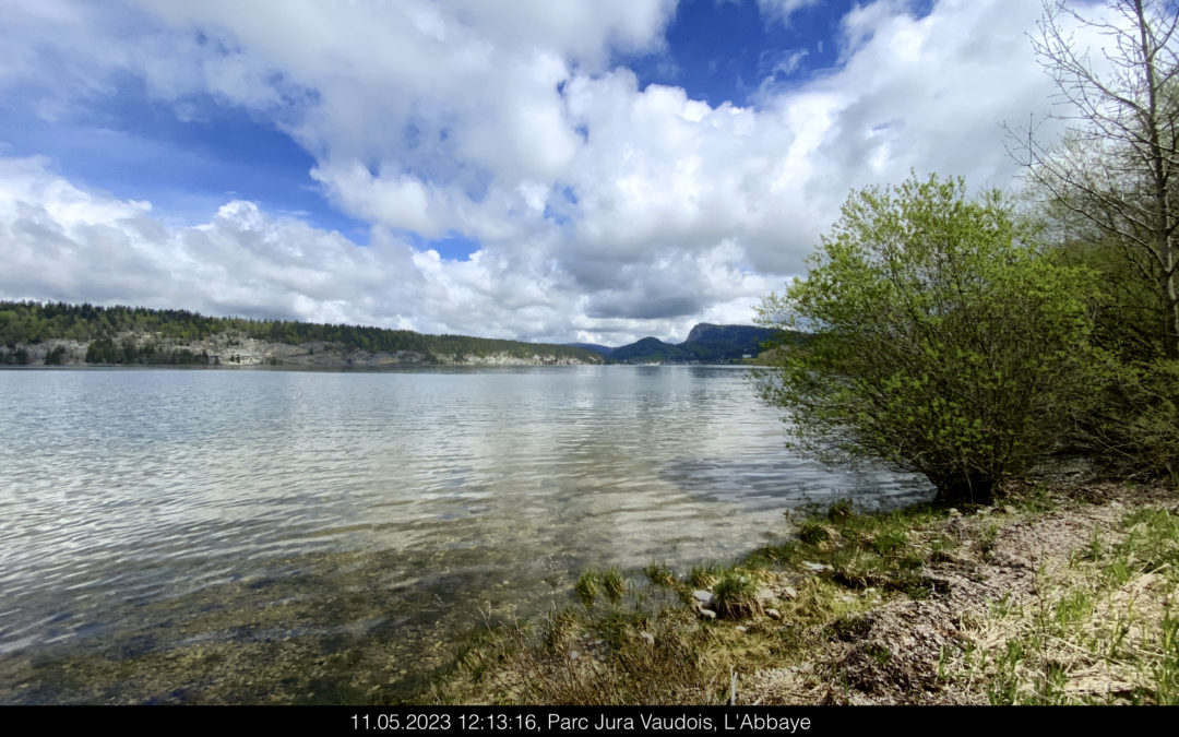 Lac de Joux, au loin la Dent de Vaulion