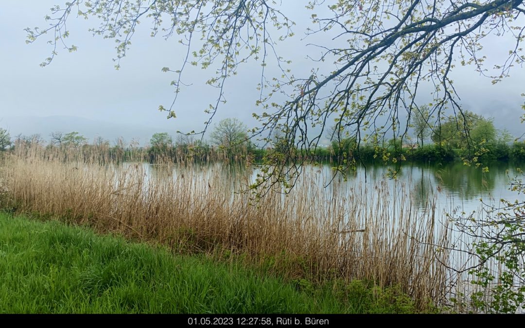 De Selzach à Büren an der Aare le long de l’Aare par temps pluvieux