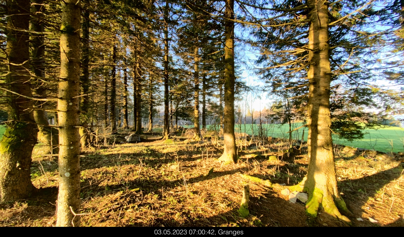 Site du bivouac furtif vu depuis le sentier. Même de jour, il est difficile de l’apercevoir. 